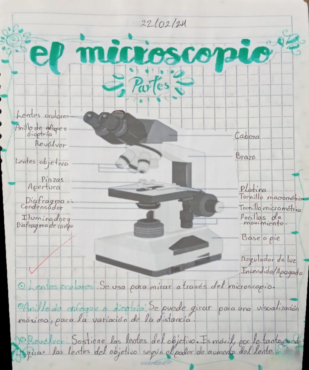 Las Partes del Microscopio y Sus Sistemas