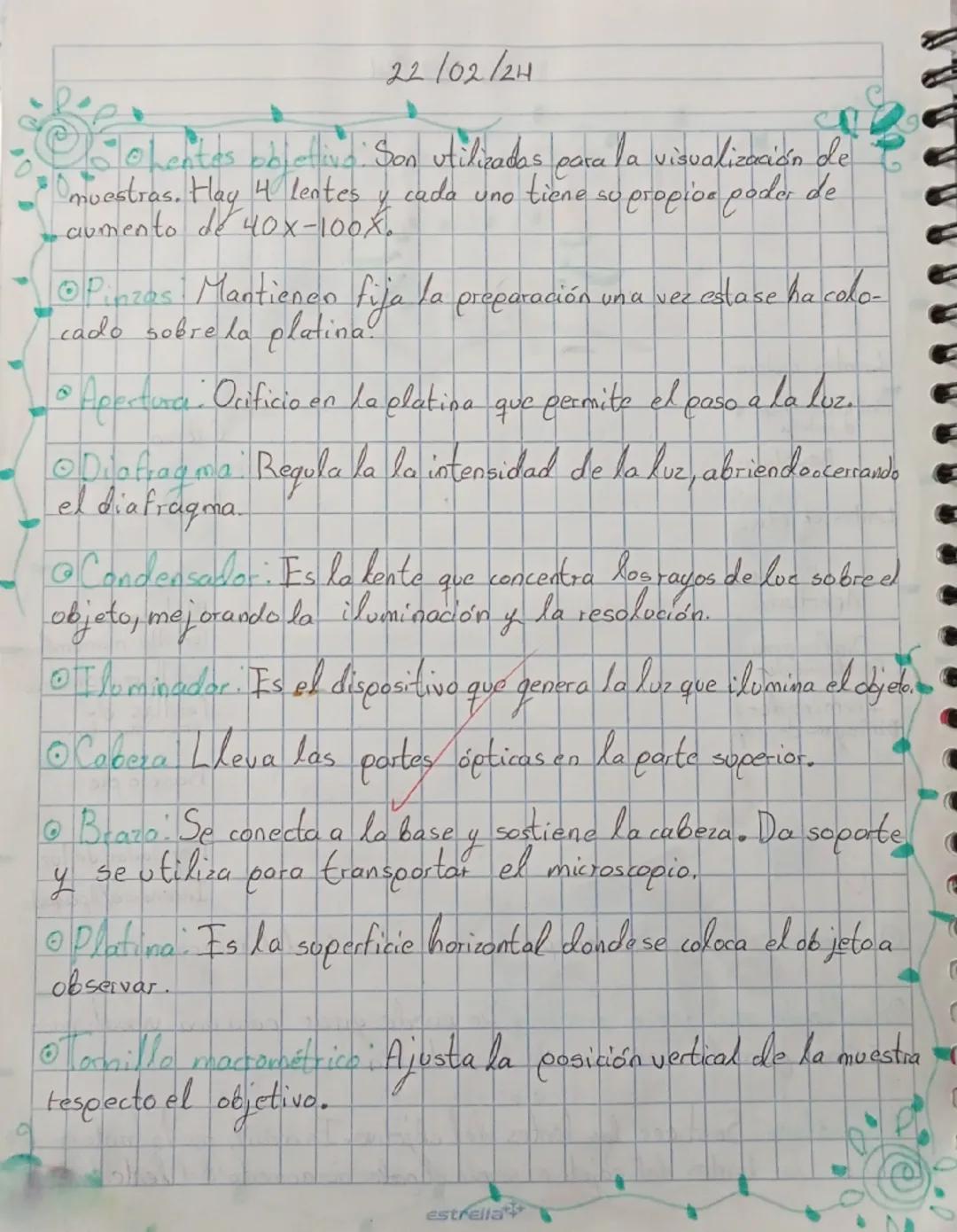 22/02/24
el microscopio
Partes
Lentes oculares
Anillo de efque o
dioptria
Revólver
Lentes objetivo
Pinzas
Apertura
Diafragma ins
Condensador
