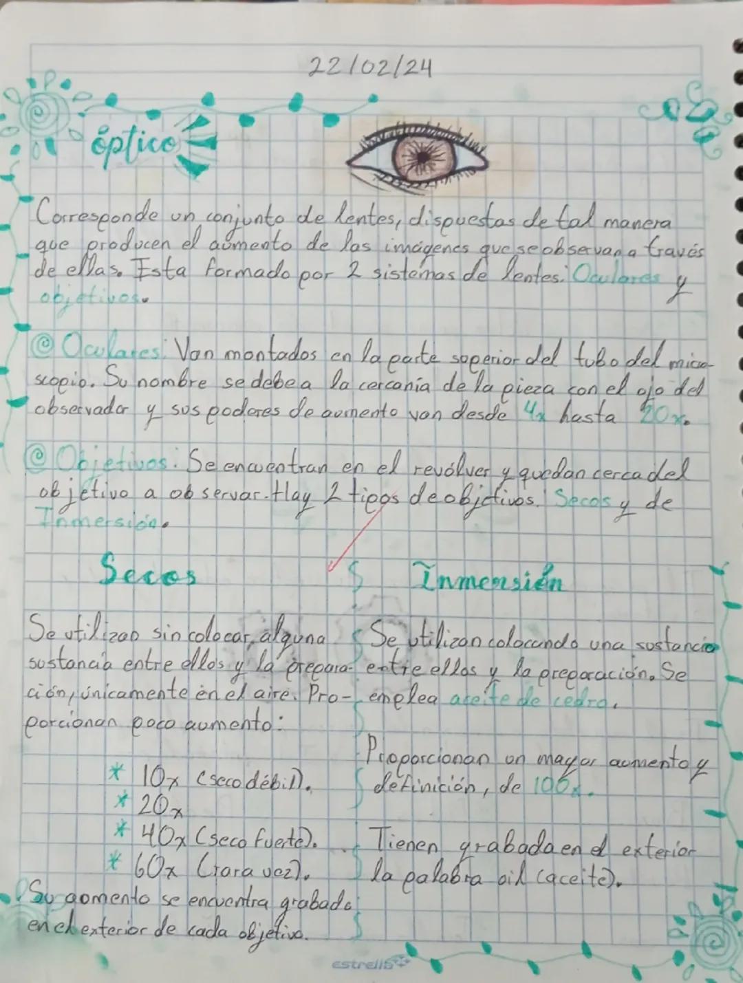 22/02/24
el microscopio
Partes
Lentes oculares
Anillo de efque o
dioptria
Revólver
Lentes objetivo
Pinzas
Apertura
Diafragma ins
Condensador