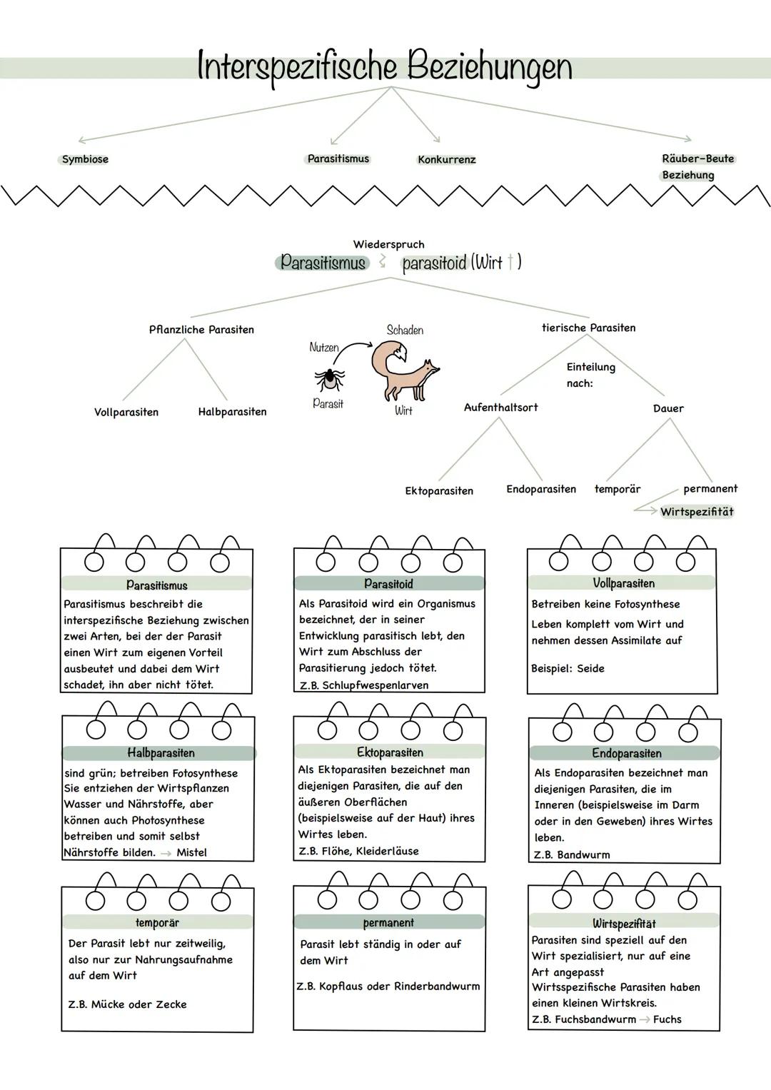 Interspezifische Beziehungen

Symbiose

Parasitismus Konkurrenz

Räuber-Beute
Beziehung

Wiederspruch
Parasitismus parasitoid (Wirt)

Pflanz