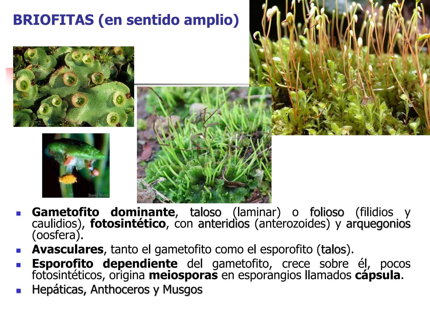 Universidad Autónoma Chapingo

Enseñar la explotación de la tierra,
no la del hombre

UNIVERSIDAD NACIONAL AUTONOMA B MEXICO

I. Biodiversid