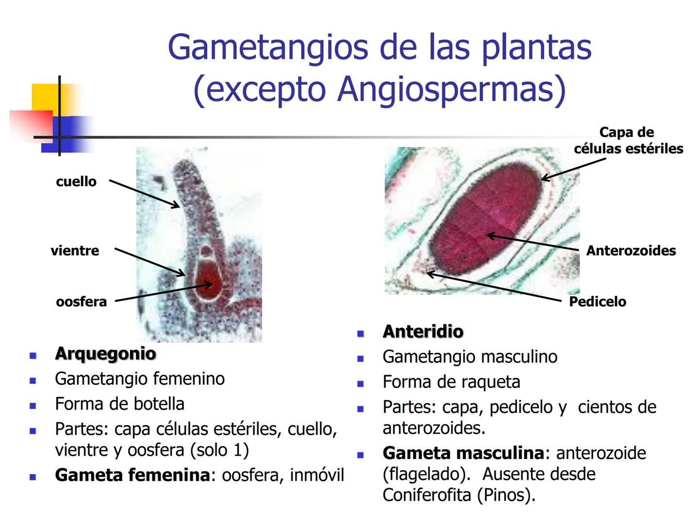 Universidad Autónoma Chapingo

Enseñar la explotación de la tierra,
no la del hombre

UNIVERSIDAD NACIONAL AUTONOMA B MEXICO

I. Biodiversid