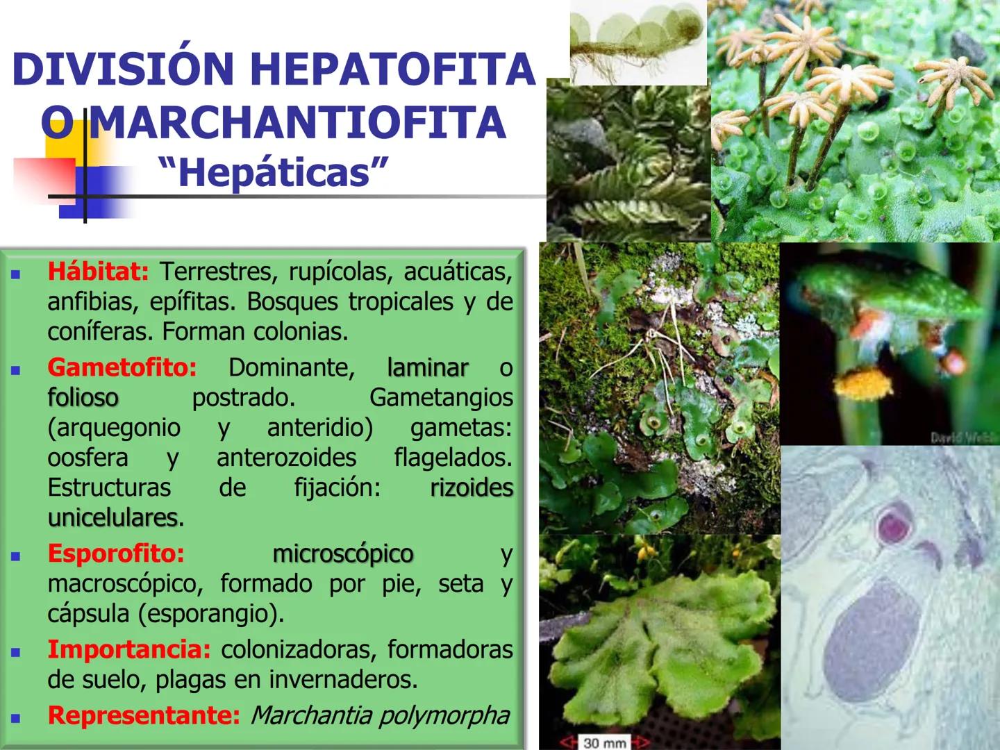 Universidad Autónoma Chapingo

Enseñar la explotación de la tierra,
no la del hombre

UNIVERSIDAD NACIONAL AUTONOMA B MEXICO

I. Biodiversid