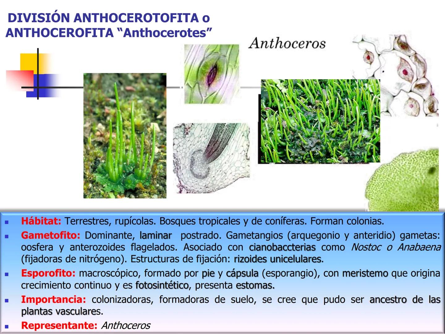 Universidad Autónoma Chapingo

Enseñar la explotación de la tierra,
no la del hombre

UNIVERSIDAD NACIONAL AUTONOMA B MEXICO

I. Biodiversid