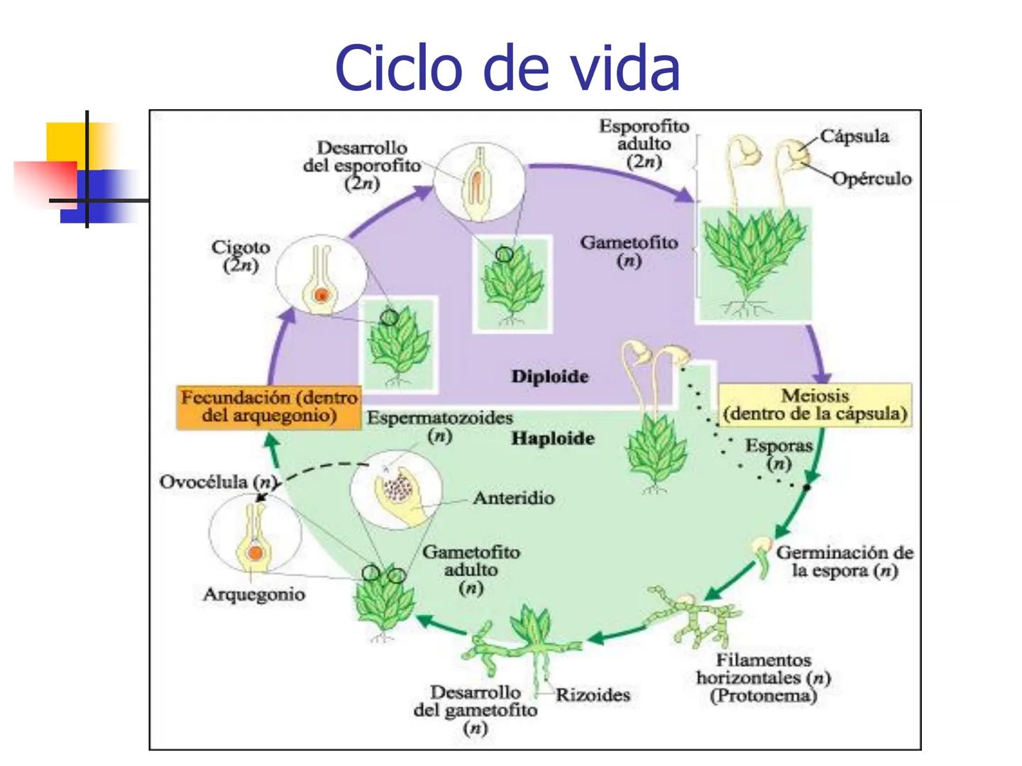 Universidad Autónoma Chapingo

Enseñar la explotación de la tierra,
no la del hombre

UNIVERSIDAD NACIONAL AUTONOMA B MEXICO

I. Biodiversid