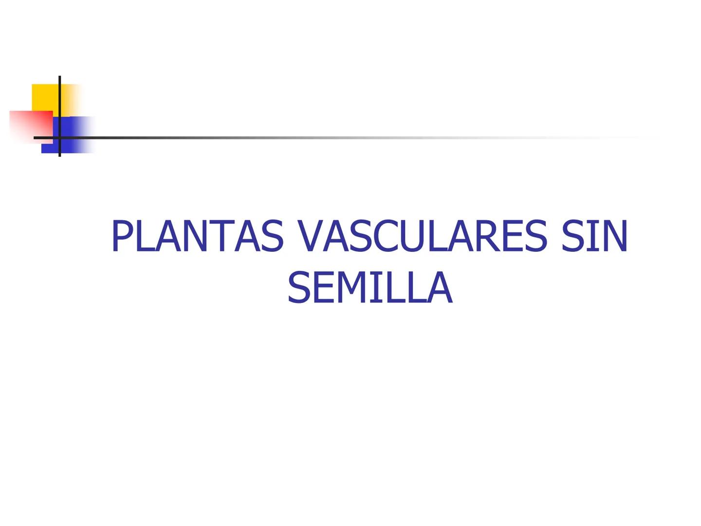 Universidad Autónoma Chapingo

Enseñar la explotación de la tierra,
no la del hombre

UNIVERSIDAD NACIONAL AUTONOMA B MEXICO

I. Biodiversid