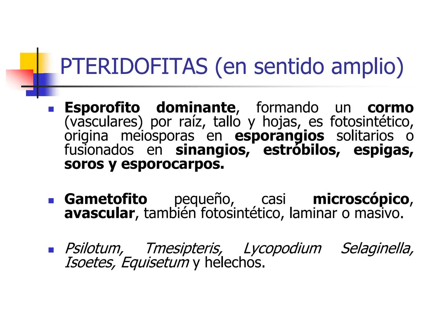 Universidad Autónoma Chapingo

Enseñar la explotación de la tierra,
no la del hombre

UNIVERSIDAD NACIONAL AUTONOMA B MEXICO

I. Biodiversid
