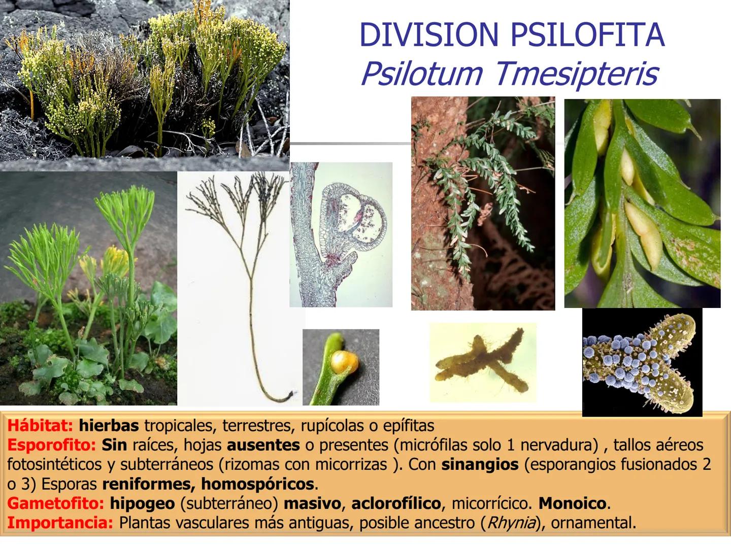 Universidad Autónoma Chapingo

Enseñar la explotación de la tierra,
no la del hombre

UNIVERSIDAD NACIONAL AUTONOMA B MEXICO

I. Biodiversid