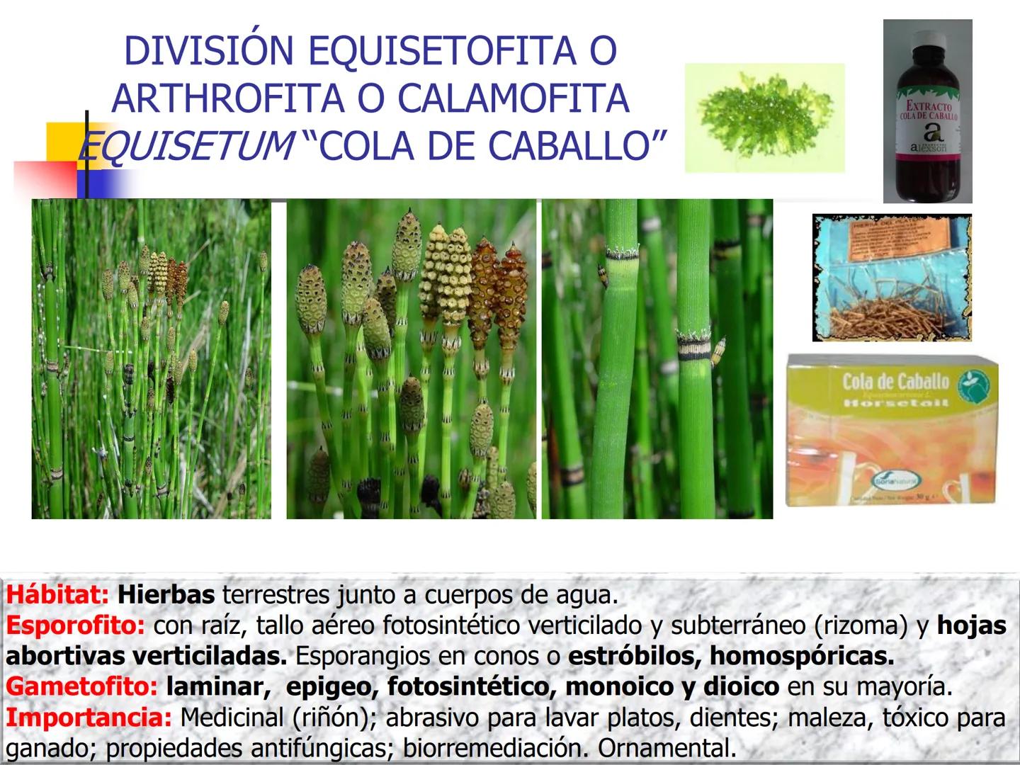 Universidad Autónoma Chapingo

Enseñar la explotación de la tierra,
no la del hombre

UNIVERSIDAD NACIONAL AUTONOMA B MEXICO

I. Biodiversid