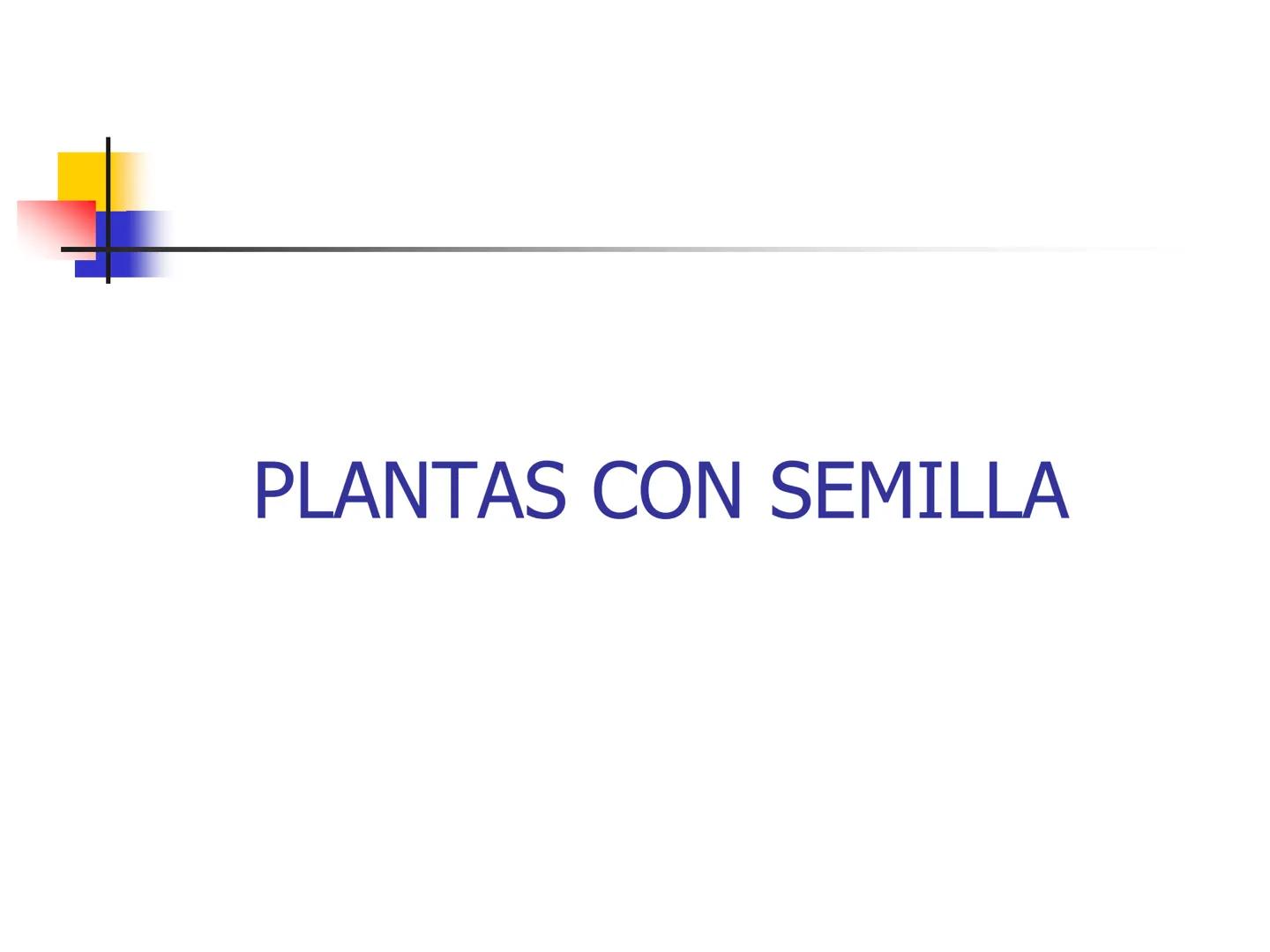 Universidad Autónoma Chapingo

Enseñar la explotación de la tierra,
no la del hombre

UNIVERSIDAD NACIONAL AUTONOMA B MEXICO

I. Biodiversid