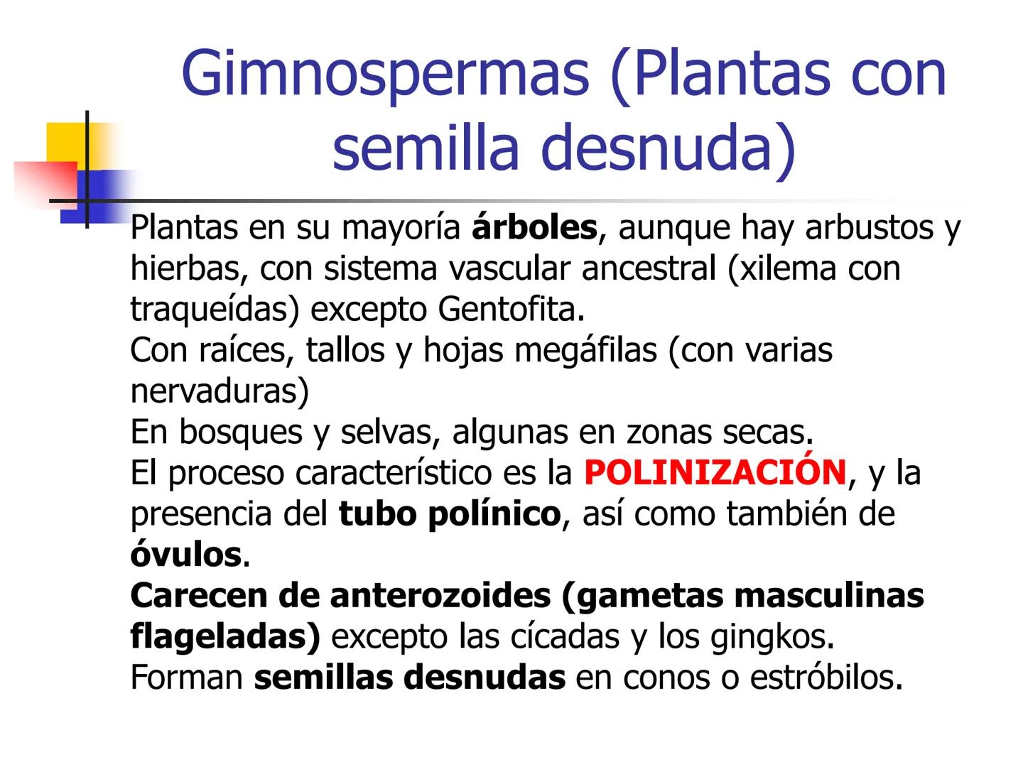 Universidad Autónoma Chapingo

Enseñar la explotación de la tierra,
no la del hombre

UNIVERSIDAD NACIONAL AUTONOMA B MEXICO

I. Biodiversid