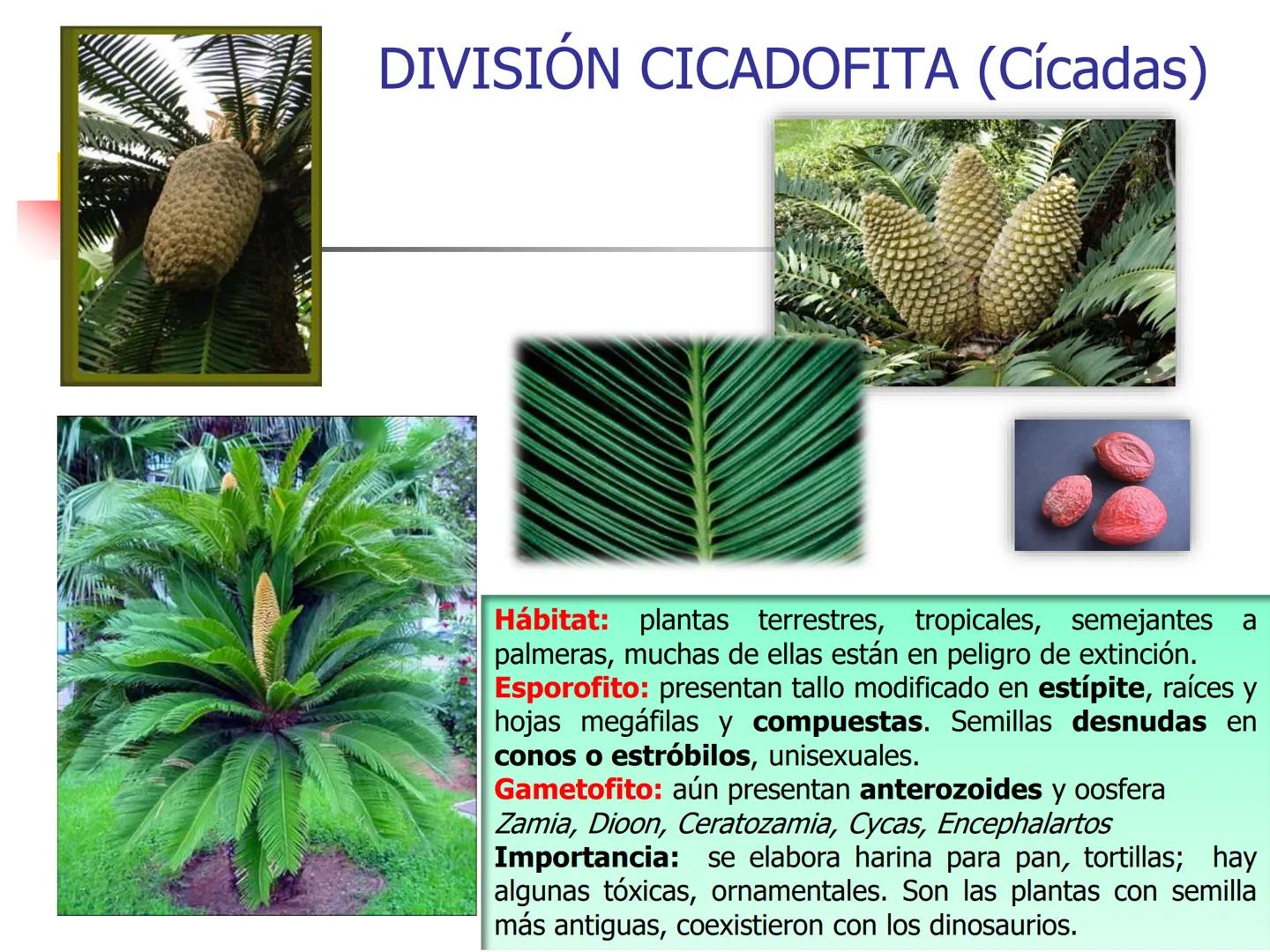 Universidad Autónoma Chapingo

Enseñar la explotación de la tierra,
no la del hombre

UNIVERSIDAD NACIONAL AUTONOMA B MEXICO

I. Biodiversid