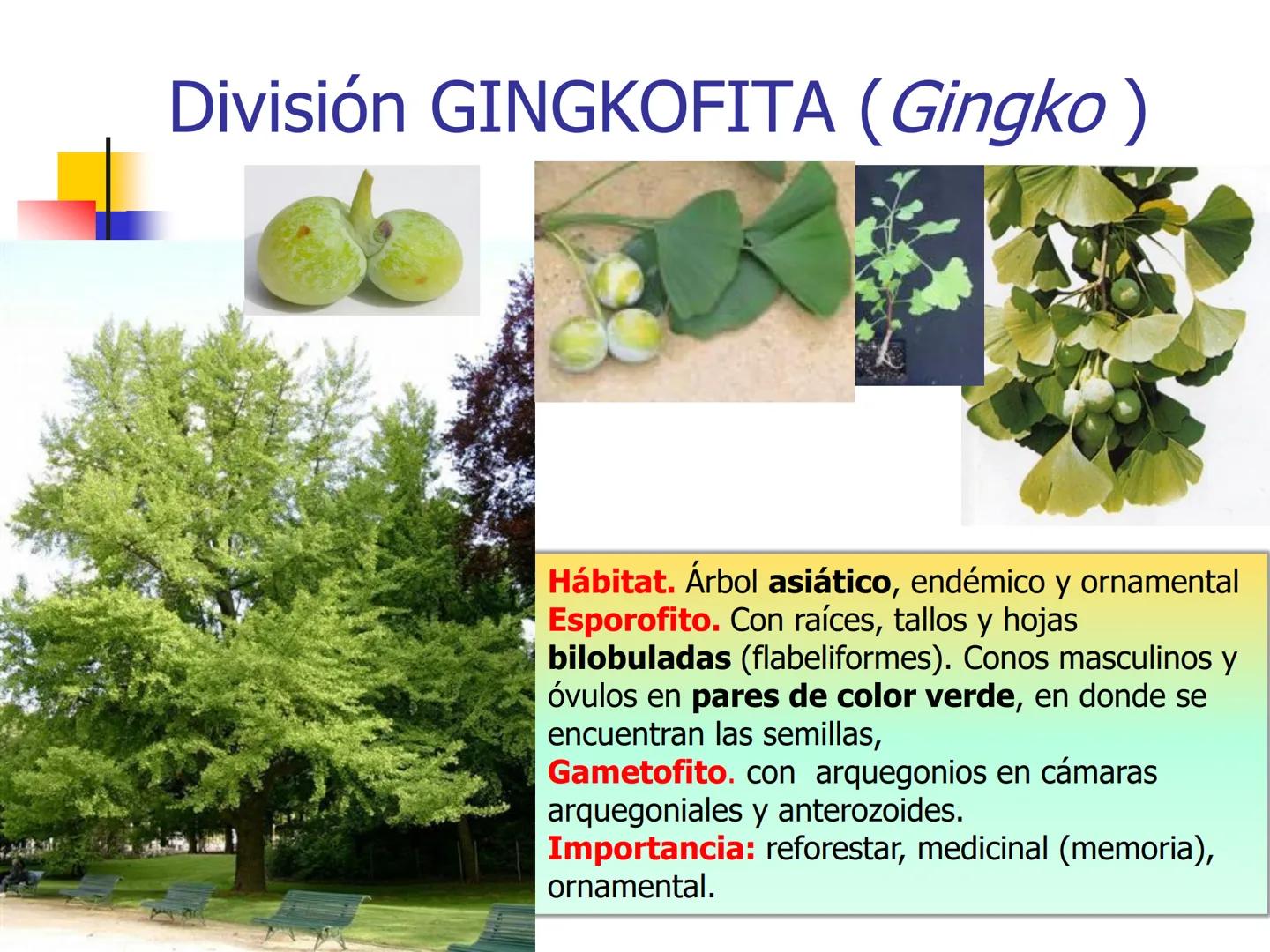 Universidad Autónoma Chapingo

Enseñar la explotación de la tierra,
no la del hombre

UNIVERSIDAD NACIONAL AUTONOMA B MEXICO

I. Biodiversid