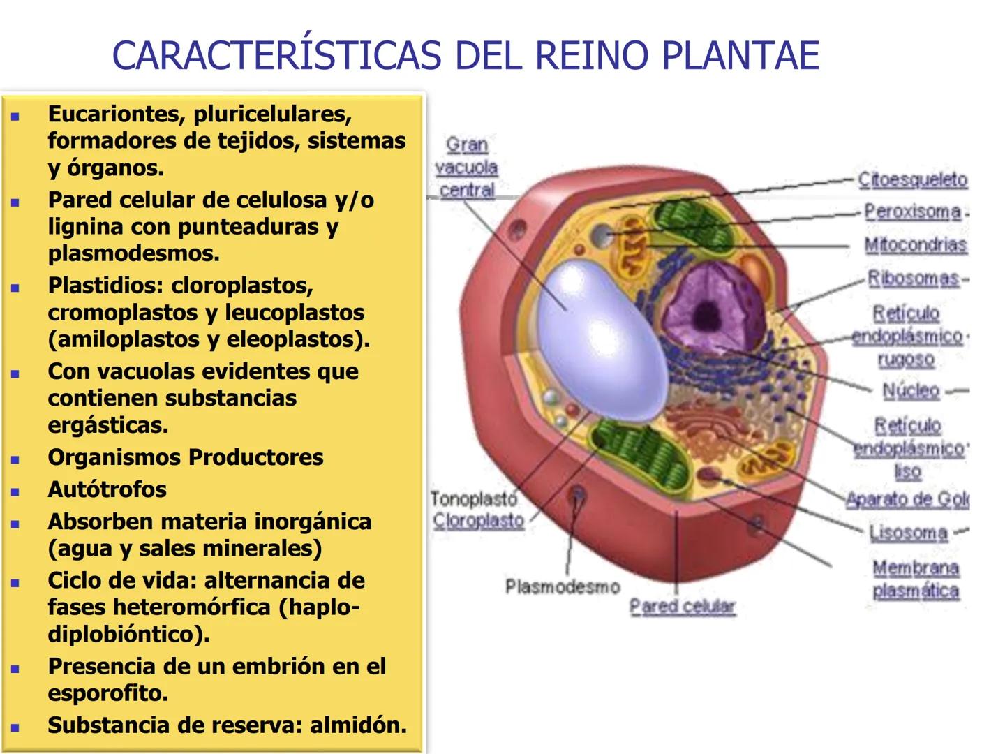 Universidad Autónoma Chapingo

Enseñar la explotación de la tierra,
no la del hombre

UNIVERSIDAD NACIONAL AUTONOMA B MEXICO

I. Biodiversid
