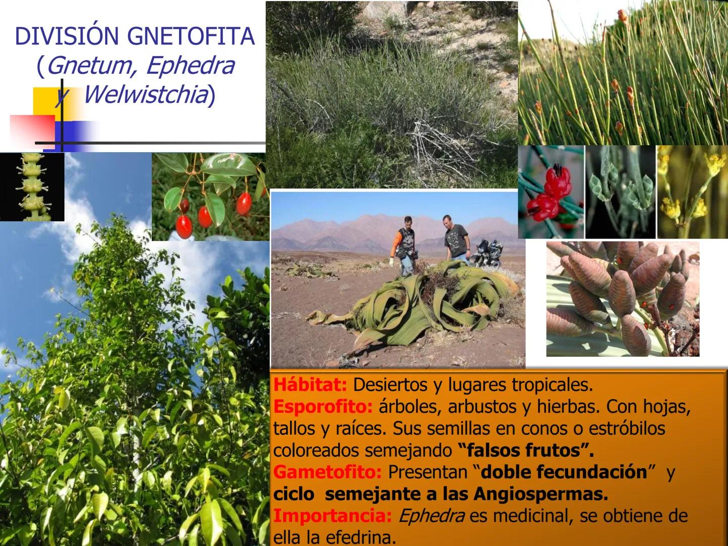 Universidad Autónoma Chapingo

Enseñar la explotación de la tierra,
no la del hombre

UNIVERSIDAD NACIONAL AUTONOMA B MEXICO

I. Biodiversid