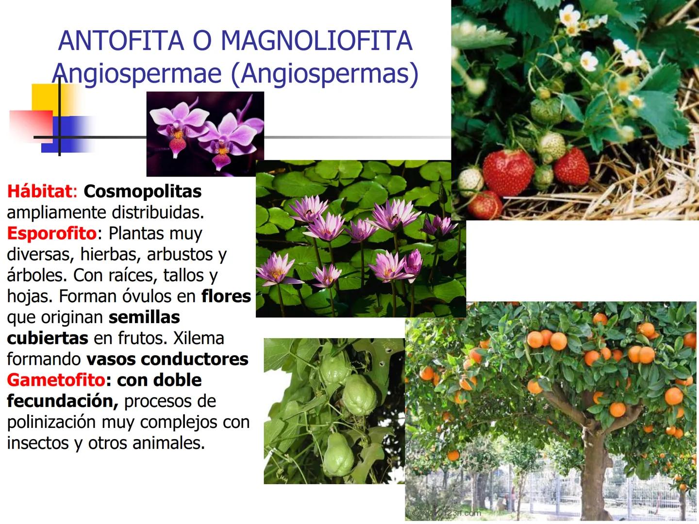 Universidad Autónoma Chapingo

Enseñar la explotación de la tierra,
no la del hombre

UNIVERSIDAD NACIONAL AUTONOMA B MEXICO

I. Biodiversid