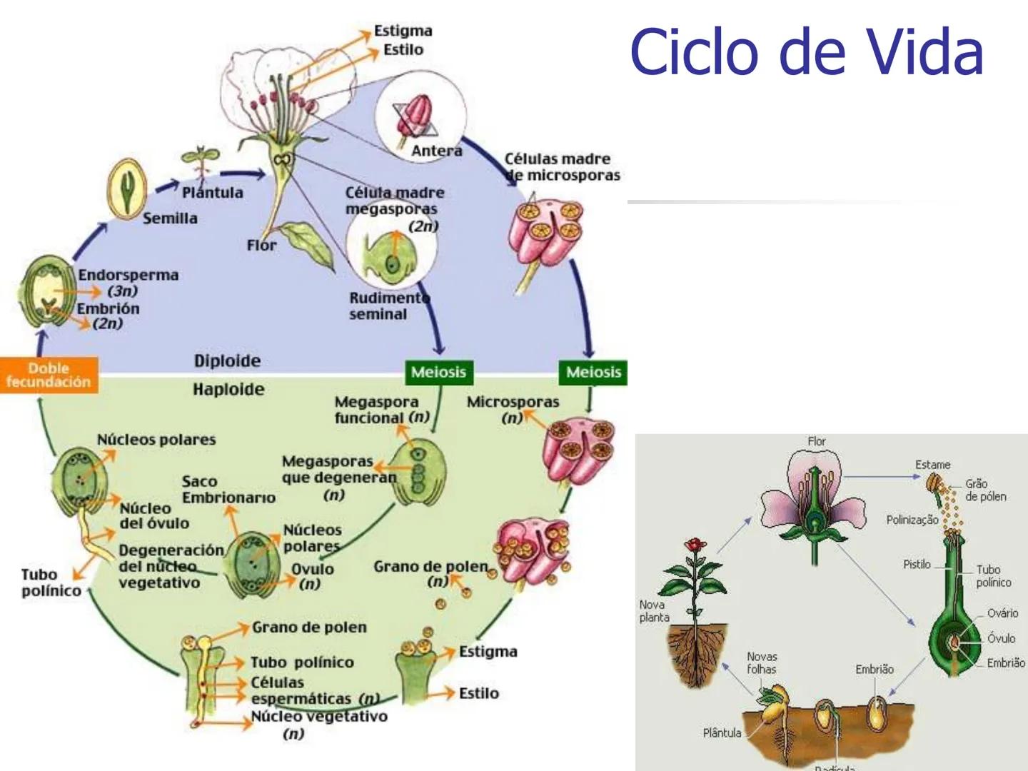 Universidad Autónoma Chapingo

Enseñar la explotación de la tierra,
no la del hombre

UNIVERSIDAD NACIONAL AUTONOMA B MEXICO

I. Biodiversid