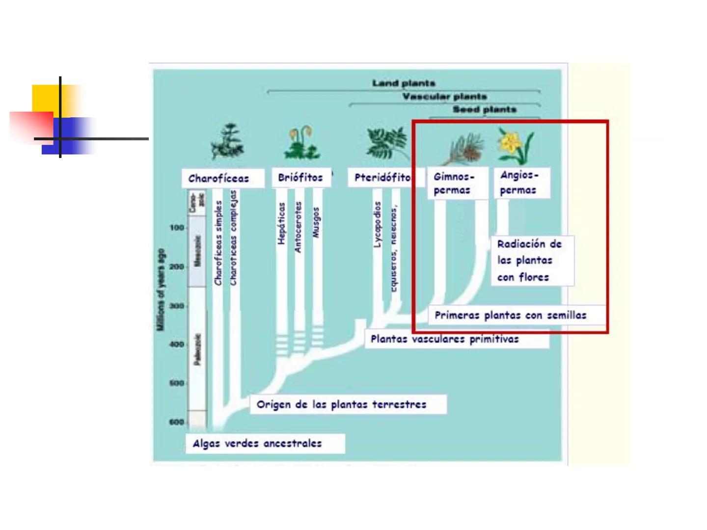 Universidad Autónoma Chapingo

Enseñar la explotación de la tierra,
no la del hombre

UNIVERSIDAD NACIONAL AUTONOMA B MEXICO

I. Biodiversid