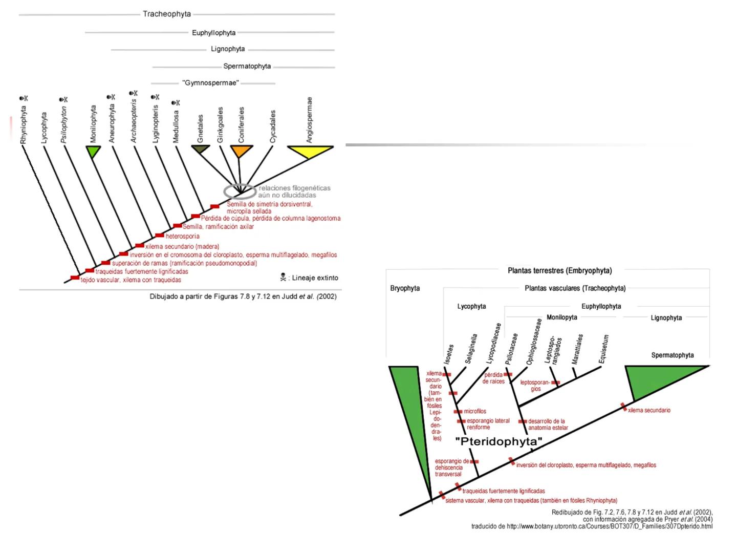 Universidad Autónoma Chapingo

Enseñar la explotación de la tierra,
no la del hombre

UNIVERSIDAD NACIONAL AUTONOMA B MEXICO

I. Biodiversid