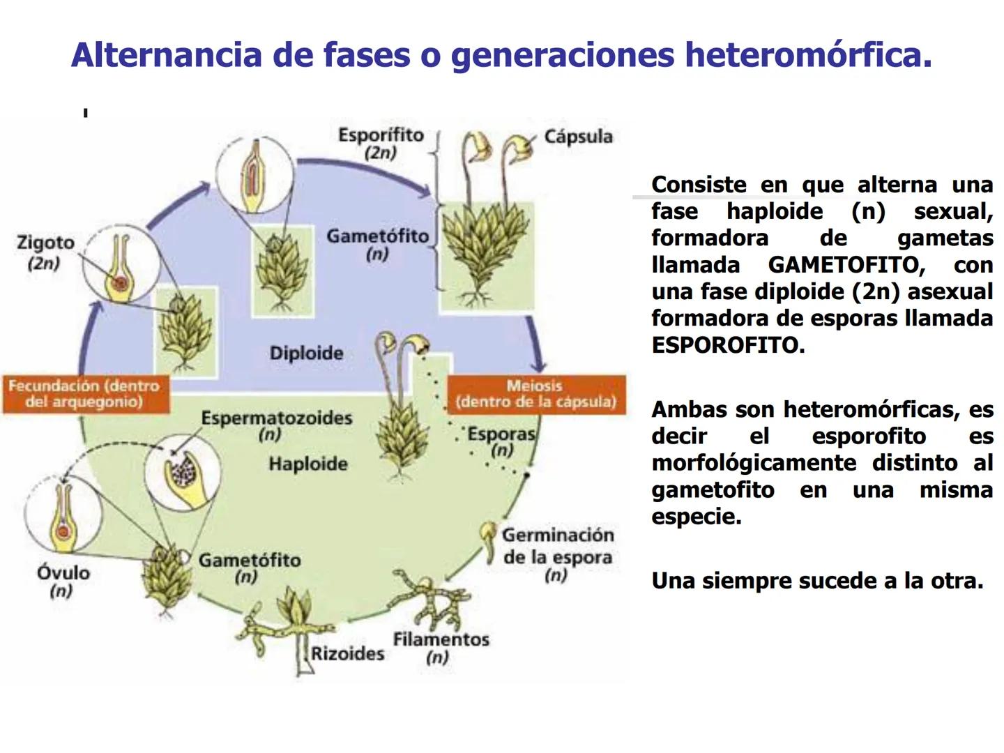 Universidad Autónoma Chapingo

Enseñar la explotación de la tierra,
no la del hombre

UNIVERSIDAD NACIONAL AUTONOMA B MEXICO

I. Biodiversid