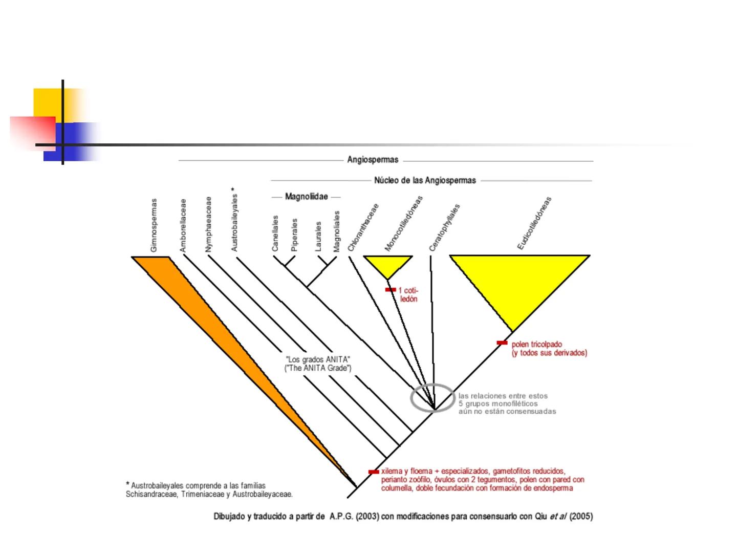 Universidad Autónoma Chapingo

Enseñar la explotación de la tierra,
no la del hombre

UNIVERSIDAD NACIONAL AUTONOMA B MEXICO

I. Biodiversid