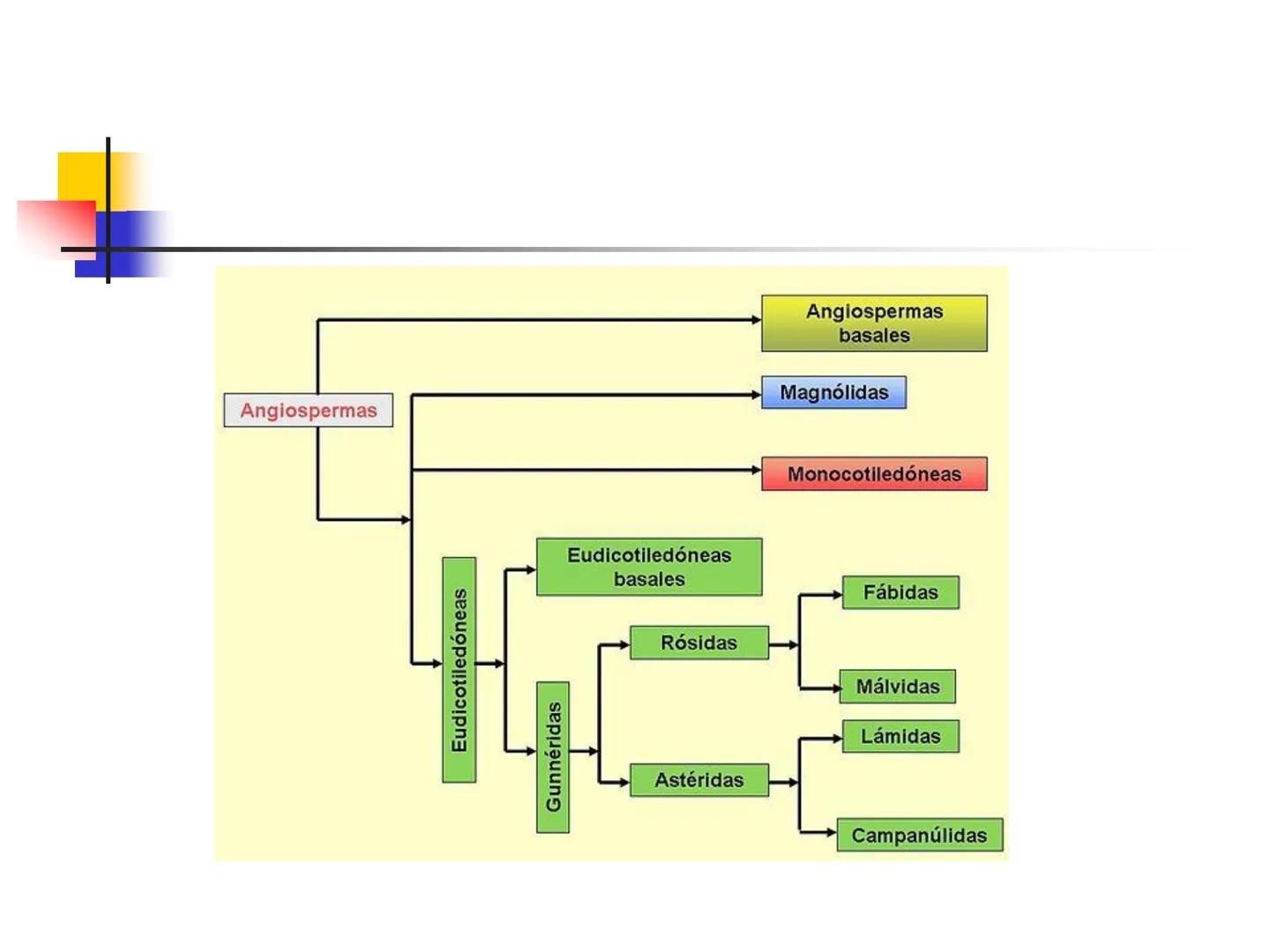 Universidad Autónoma Chapingo

Enseñar la explotación de la tierra,
no la del hombre

UNIVERSIDAD NACIONAL AUTONOMA B MEXICO

I. Biodiversid
