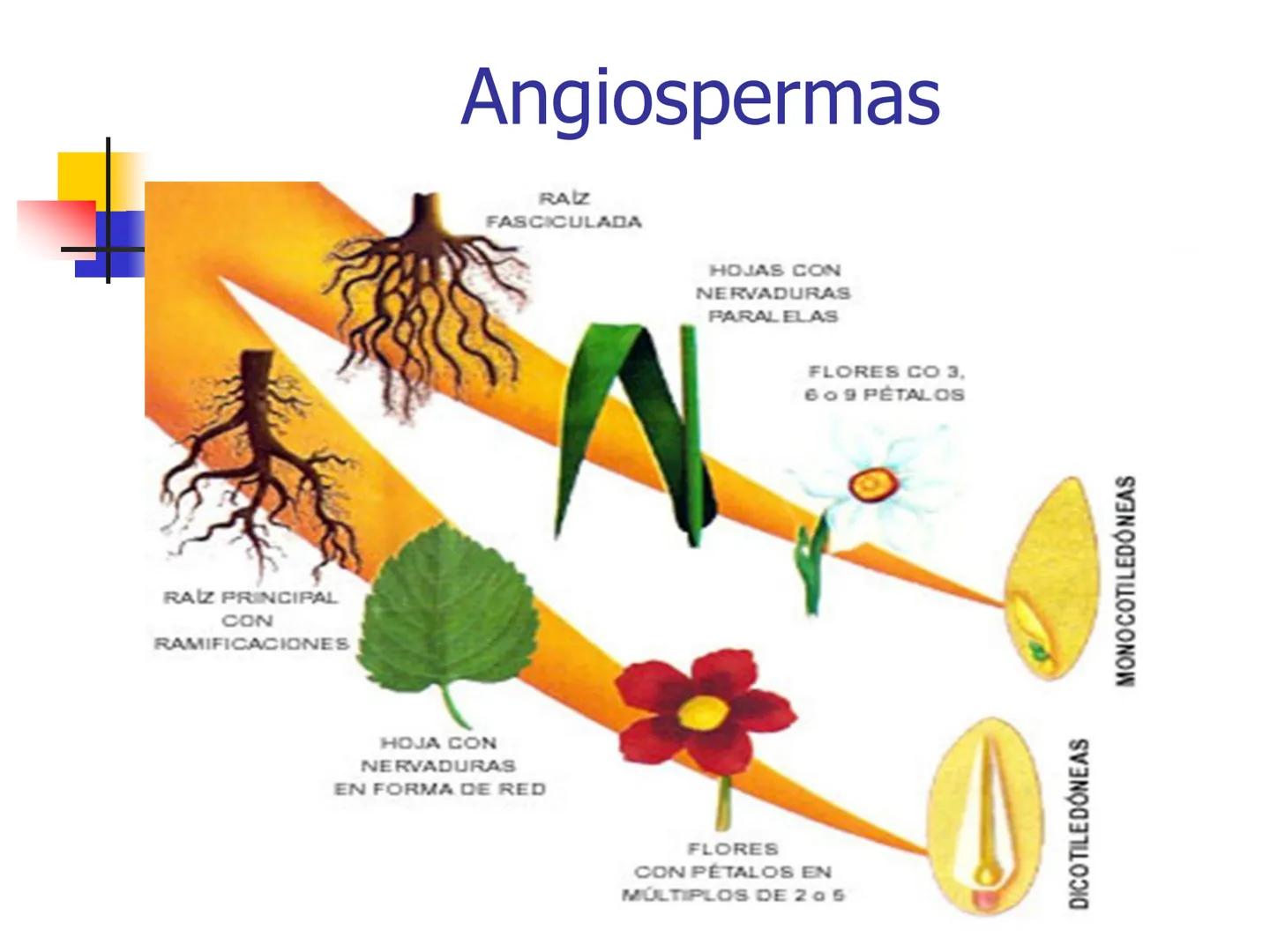 Universidad Autónoma Chapingo

Enseñar la explotación de la tierra,
no la del hombre

UNIVERSIDAD NACIONAL AUTONOMA B MEXICO

I. Biodiversid