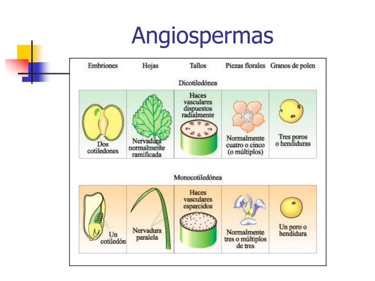 Universidad Autónoma Chapingo

Enseñar la explotación de la tierra,
no la del hombre

UNIVERSIDAD NACIONAL AUTONOMA B MEXICO

I. Biodiversid