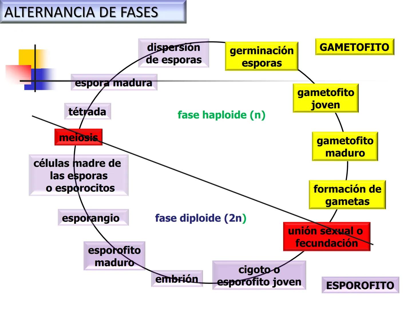 Universidad Autónoma Chapingo

Enseñar la explotación de la tierra,
no la del hombre

UNIVERSIDAD NACIONAL AUTONOMA B MEXICO

I. Biodiversid