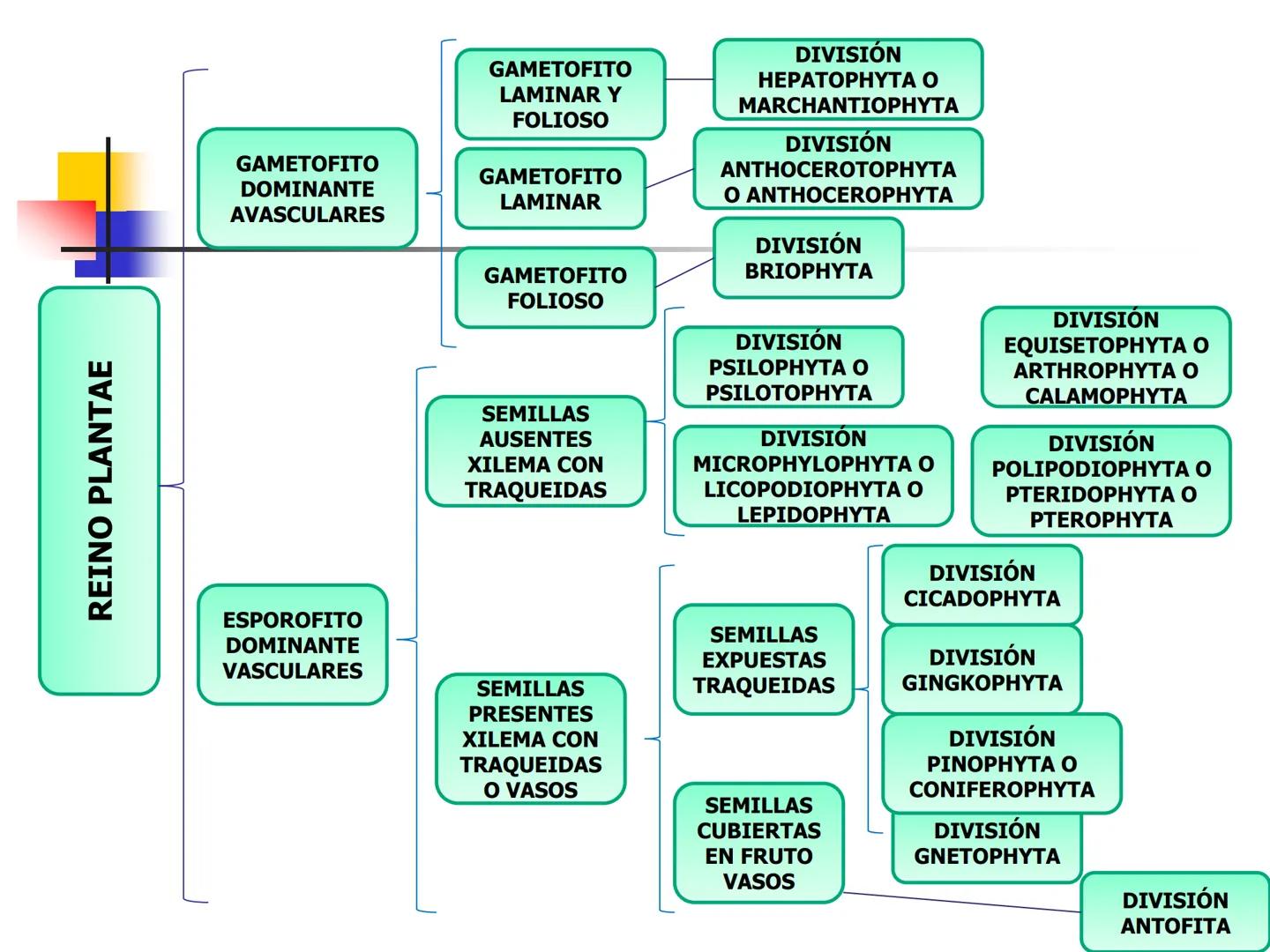 Universidad Autónoma Chapingo

Enseñar la explotación de la tierra,
no la del hombre

UNIVERSIDAD NACIONAL AUTONOMA B MEXICO

I. Biodiversid