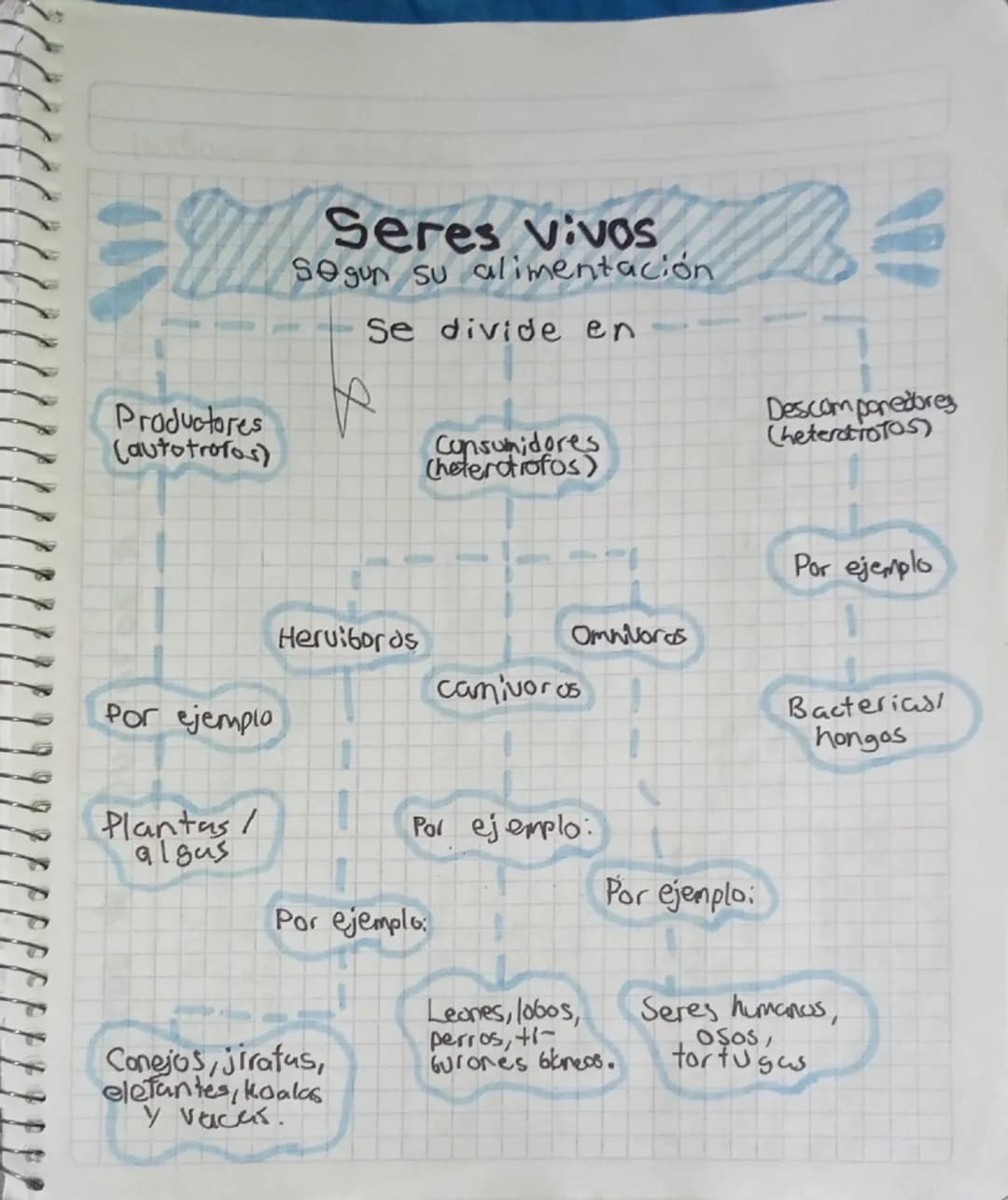 Productores
(autotrofos)
Seres vivos
Segun su alimentación
Se divide en
Consumidores
Cheterotrofos)
Descomponedores
(heterotroTOS)
Por ejemp