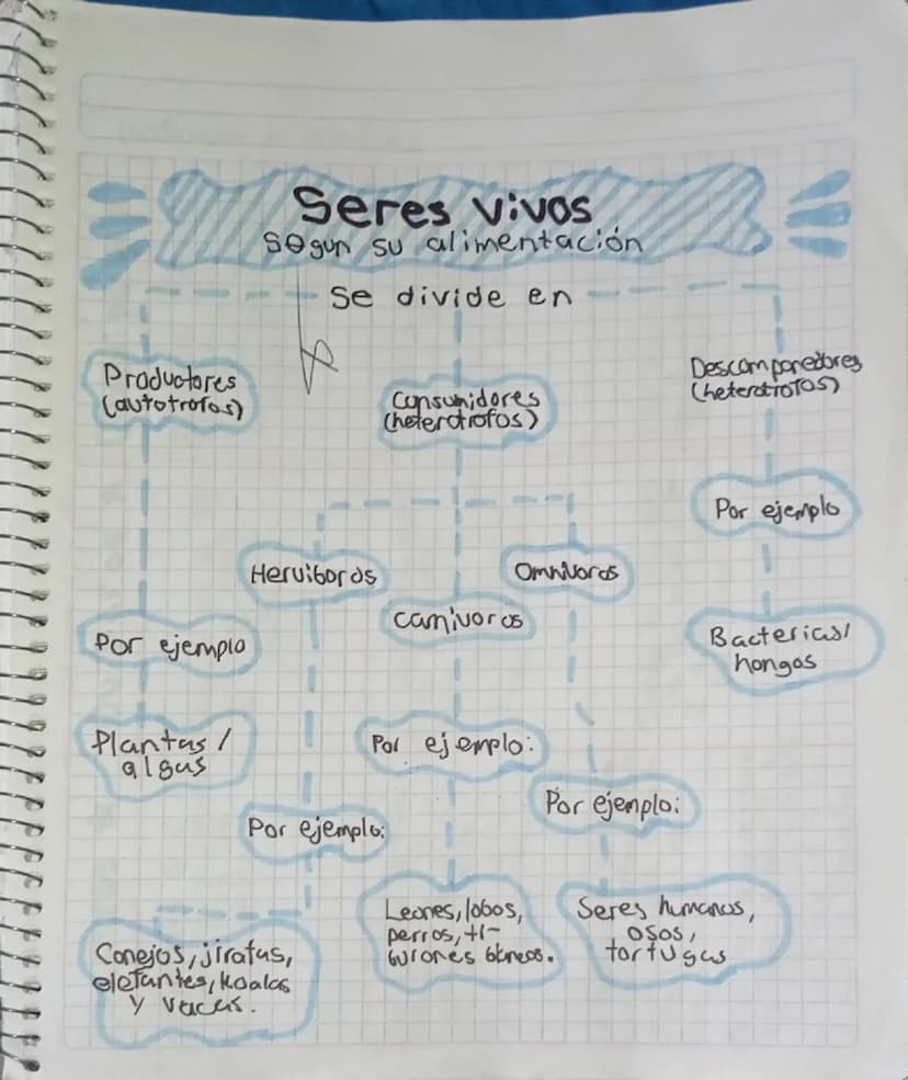 Productores
(autotrofos)
Seres vivos
Segun su alimentación
Se divide en
Consumidores
Cheterotrofos)
Descomponedores
(heterotroTOS)
Por ejemp