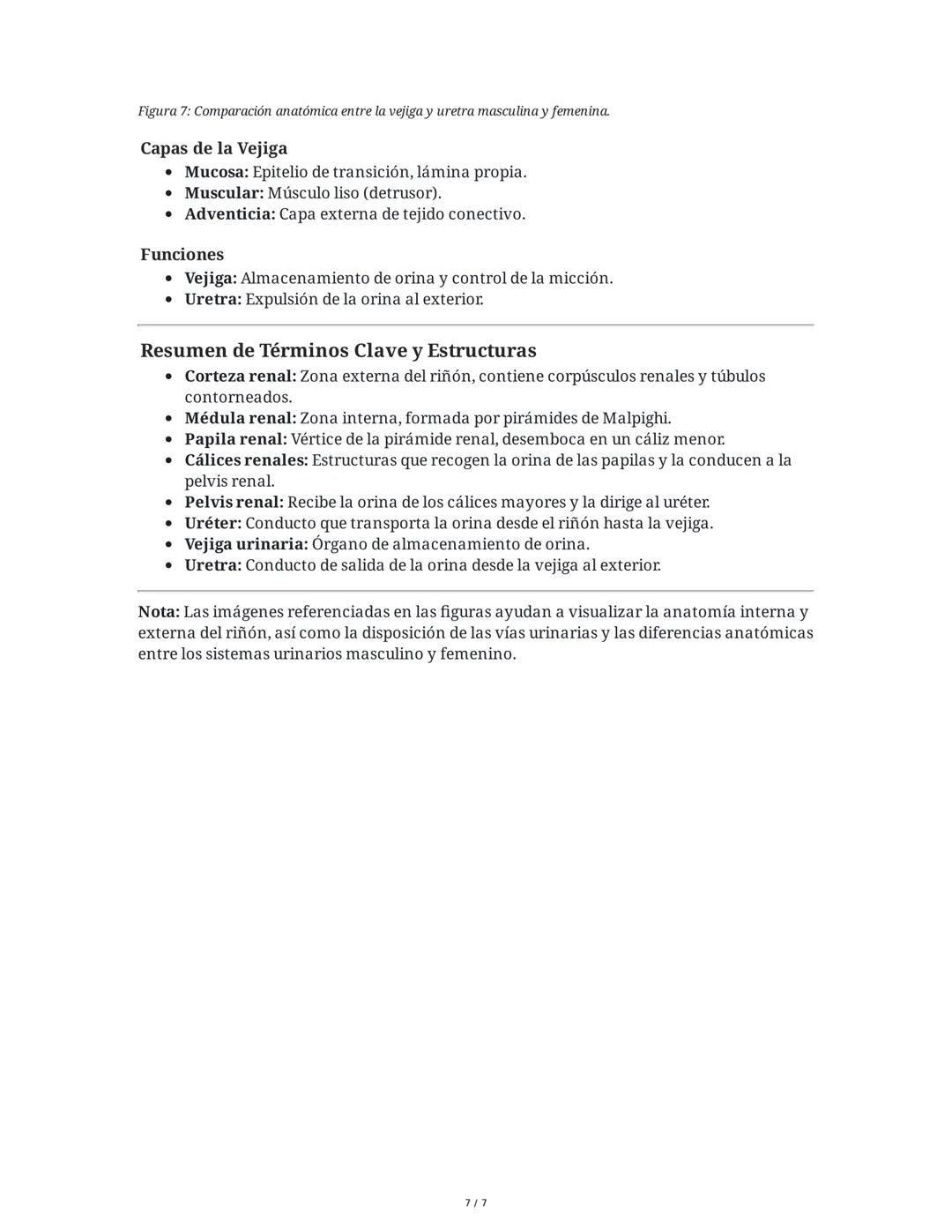 Anatomía y Fisiología del Riñón y Vías Urinarias
1. Introducción al Riñón
El riñón es uno de los órganos excretores principales, generalment