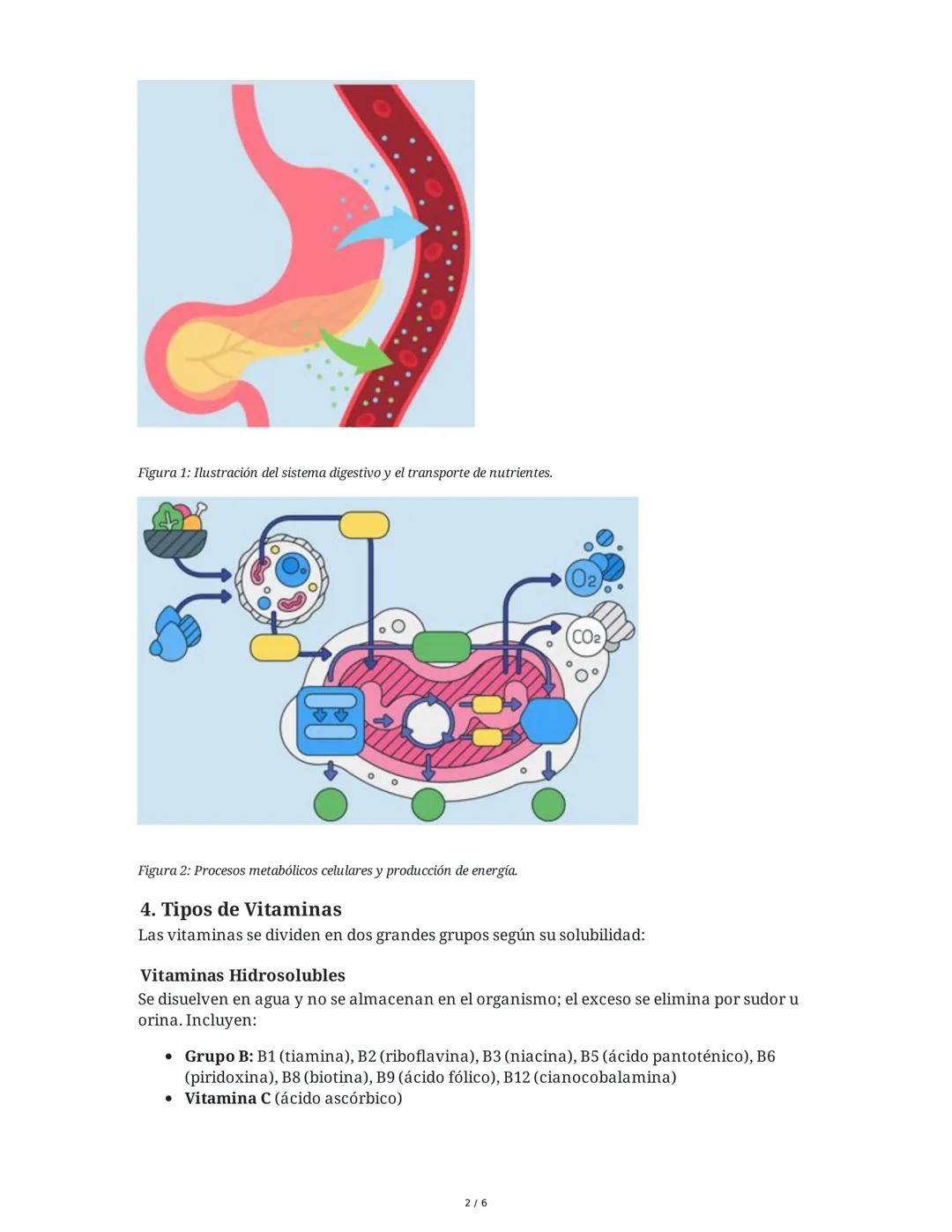 Vitaminas y Minerales
1. Introducción a las Vitaminas y Minerales
Las vitaminas y minerales son nutrientes esenciales que, aunque requeridos