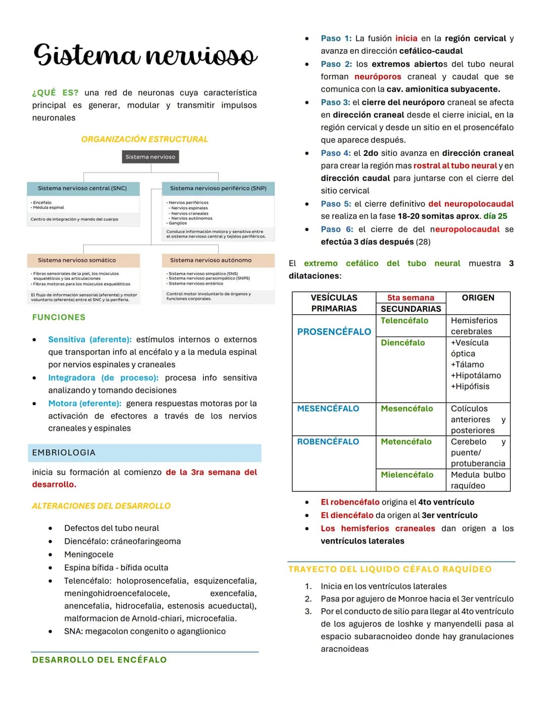 Sistema nervioso
¿QUÉ ES? una red de neuronas cuya característica
principal es generar, modular y transmitir impulsos
neuronales
ORGANIZACIÓ