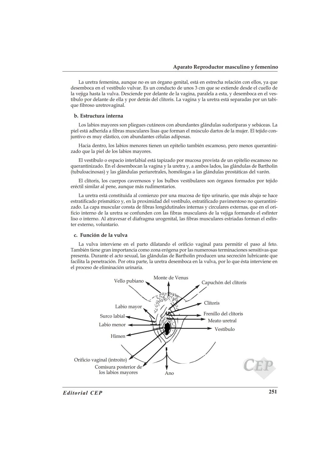 TEMA 46
ANATOMÍA Y FISIOLOGÍA DEL APARATO REPRODUCTOR
MASCULINO Y FEMEΝΙΝO
BIBLIOGRAFÍA
A. Cordova. Fisiologia Dinámica. Editorial Masson. 2