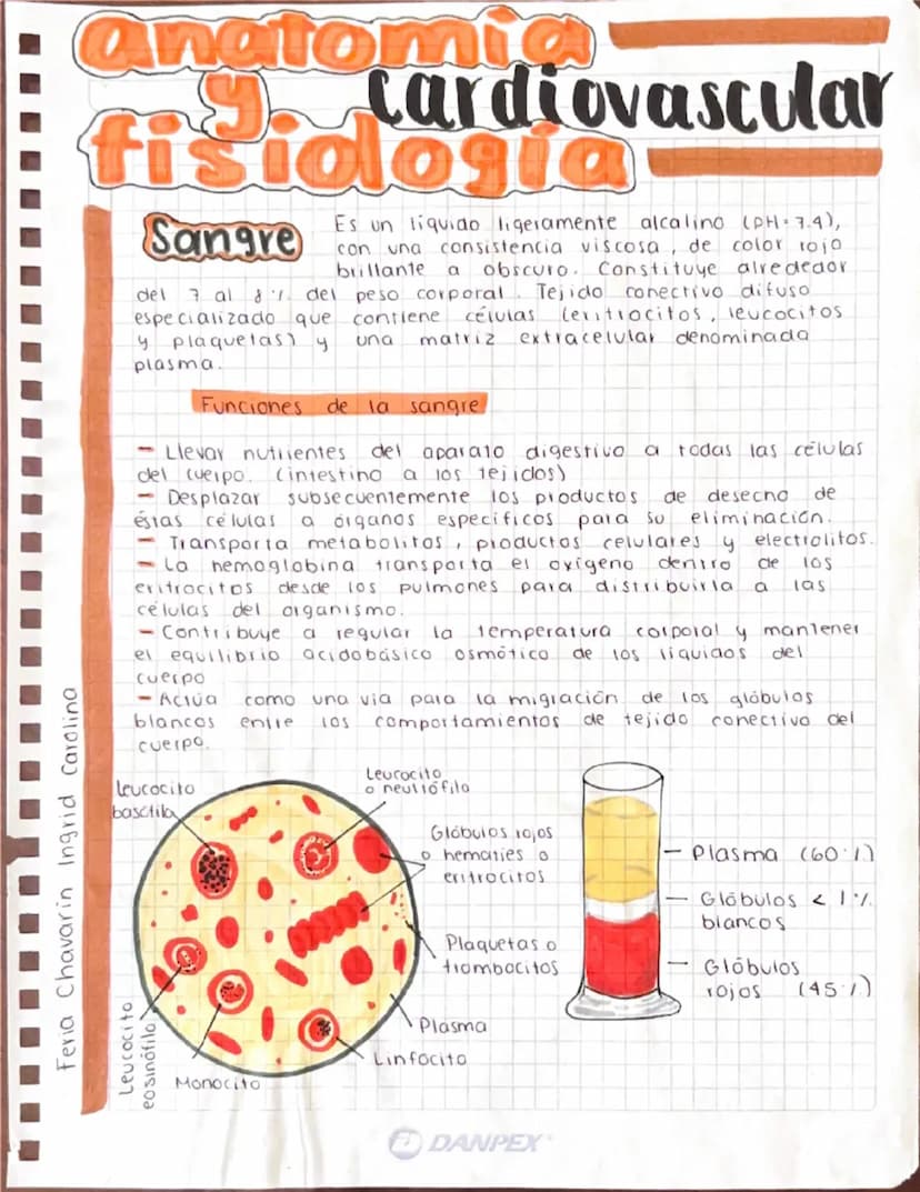 Anatomia
J.
Cardiovascular
fisiologia
Sangre Es un liquido ligeramente alcalino (PH 7.4),
con una consistencia viscosa, de color rojo
brilla
