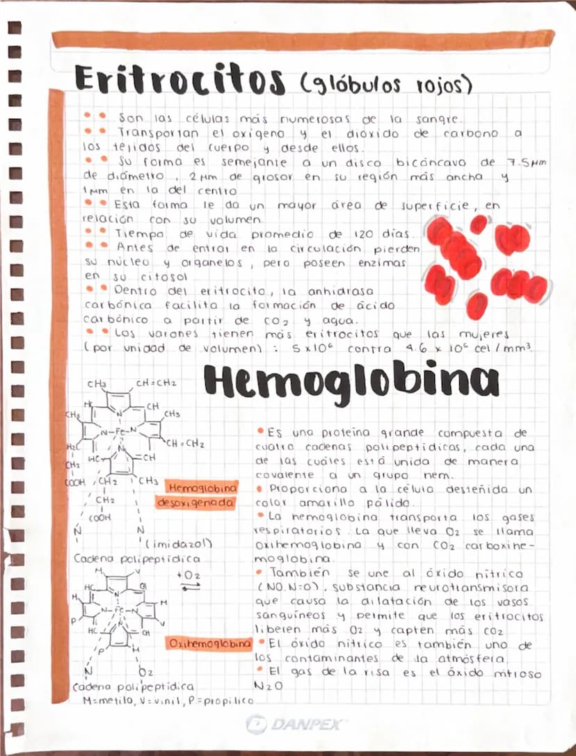 Anatomia
J.
Cardiovascular
fisiologia
Sangre Es un liquido ligeramente alcalino (PH 7.4),
con una consistencia viscosa, de color rojo
brilla