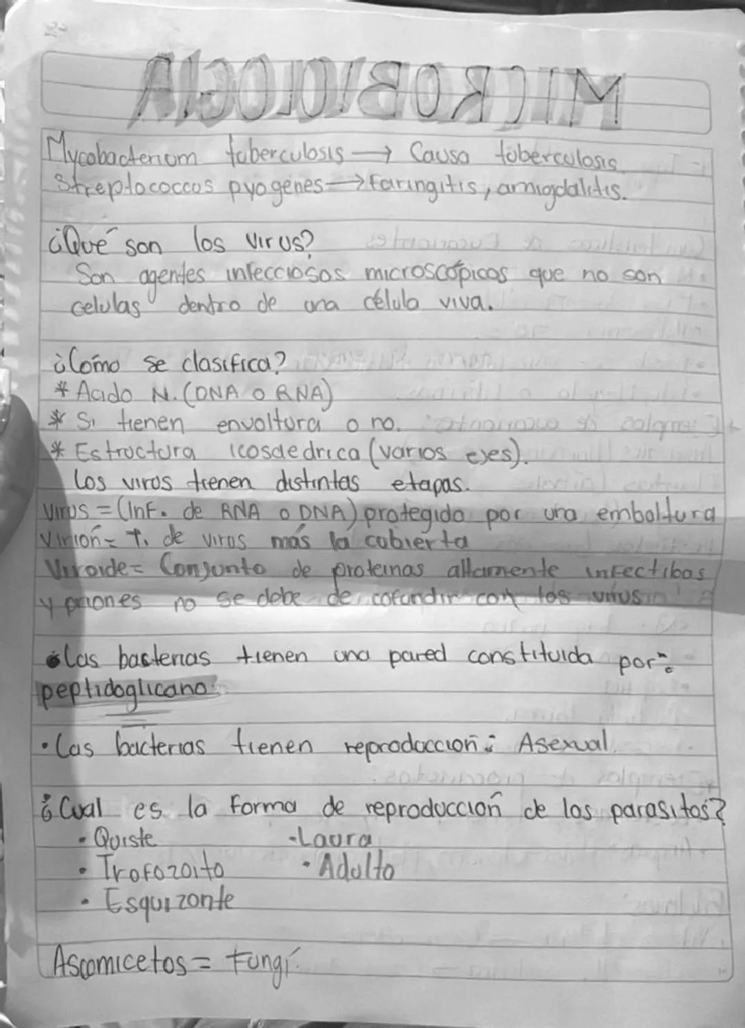 quimiosintesis

Autotrofos. Fotosinte sis
Alimentos bacterias
caña, oleg) onto Heterotrofor Saprofiticos
Simbionte. )19ور
Parasitos.
Spimono