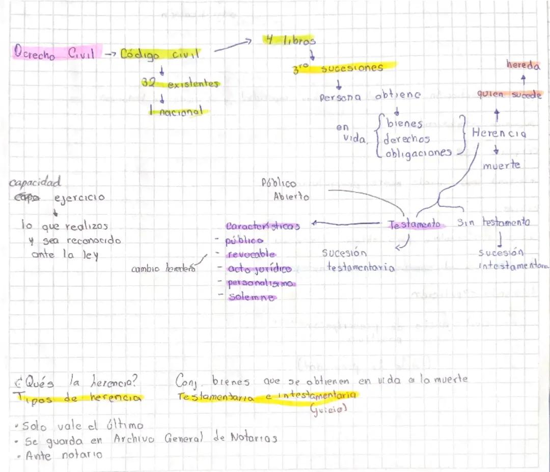Guía Completa sobre Derecho Civil y Testamentos