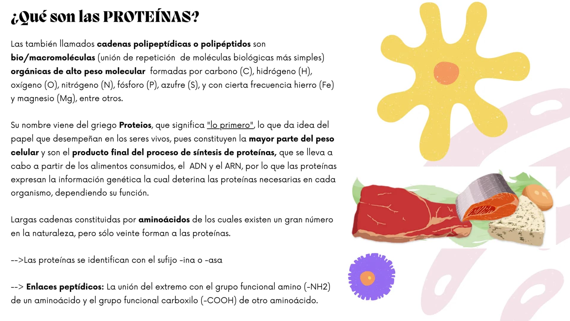 ww
m
Contenidos.
1.
¿Qué son?
2.
¿Con qué otro nombre se les conoce?
3.
¿Cómo se llaman sus unidades formadoras?
4.
5.
6.
7.
8.
¿Con qué suf
