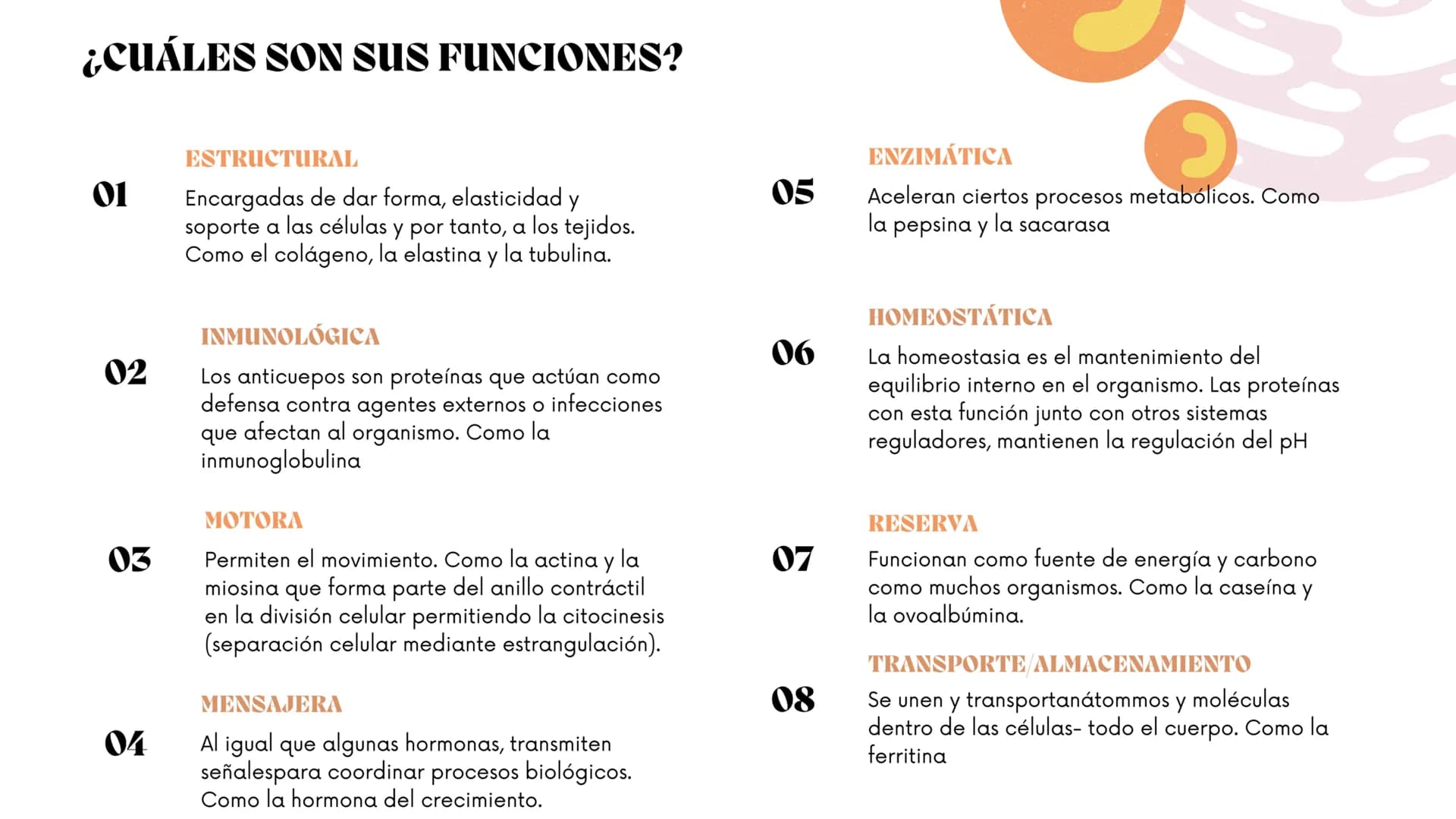 ww
m
Contenidos.
1.
¿Qué son?
2.
¿Con qué otro nombre se les conoce?
3.
¿Cómo se llaman sus unidades formadoras?
4.
5.
6.
7.
8.
¿Con qué suf
