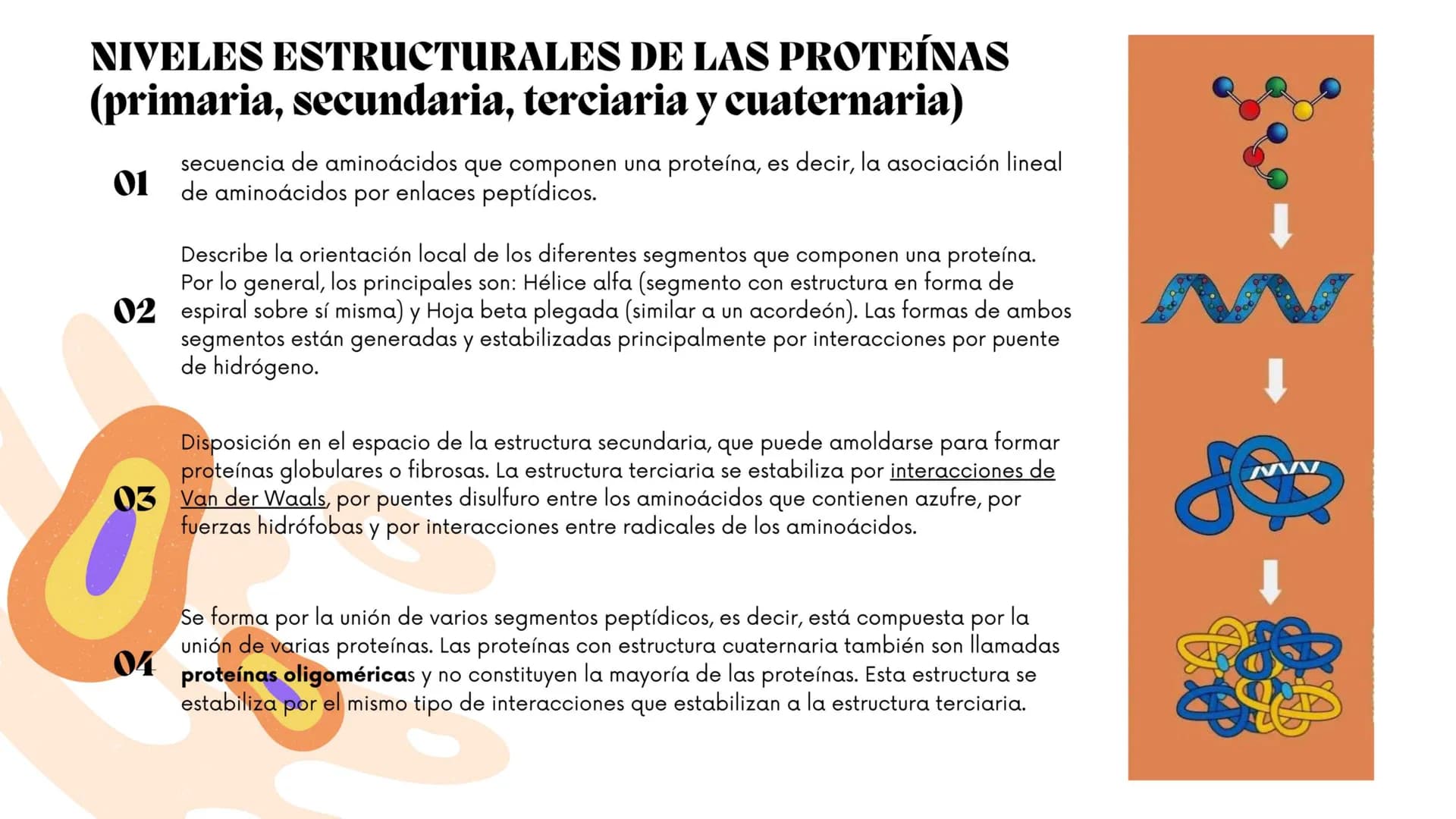 ww
m
Contenidos.
1.
¿Qué son?
2.
¿Con qué otro nombre se les conoce?
3.
¿Cómo se llaman sus unidades formadoras?
4.
5.
6.
7.
8.
¿Con qué suf