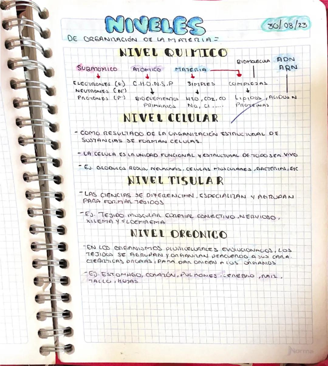 Niveles de organización de la materia 