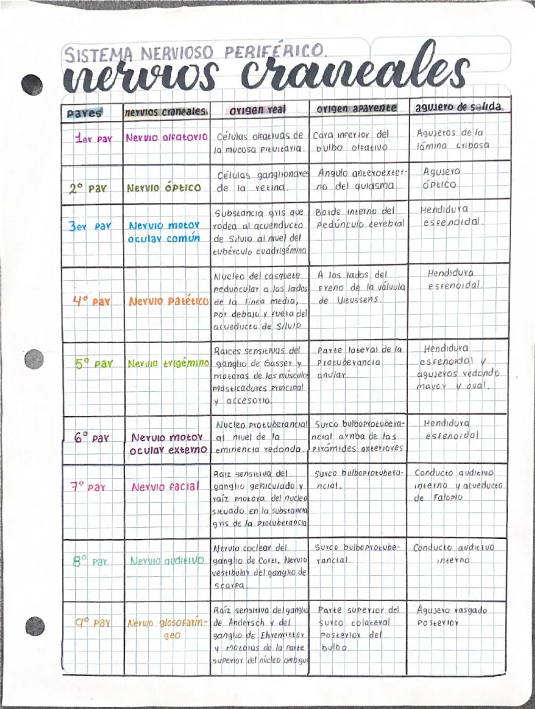 # SISTEMA NERVIOSO PERIFERICO.

# nervios craneales

| Paves | nervios craneales | origen real | origen aparente | agujero de salida. |
|---