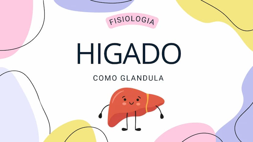 FISIOLOGIA
HIGADO
COMO GLANDULA DEFINCION
El hígado (hepar) es una glándula
anexa del sistema que vierte bilis,
producto de su secreción ext