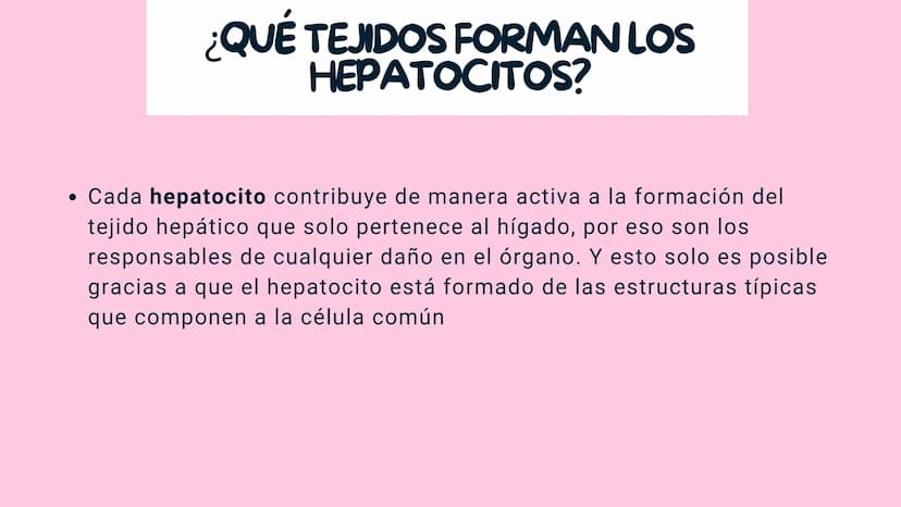 FISIOLOGIA
HIGADO
COMO GLANDULA DEFINCION
El hígado (hepar) es una glándula
anexa del sistema que vierte bilis,
producto de su secreción ext