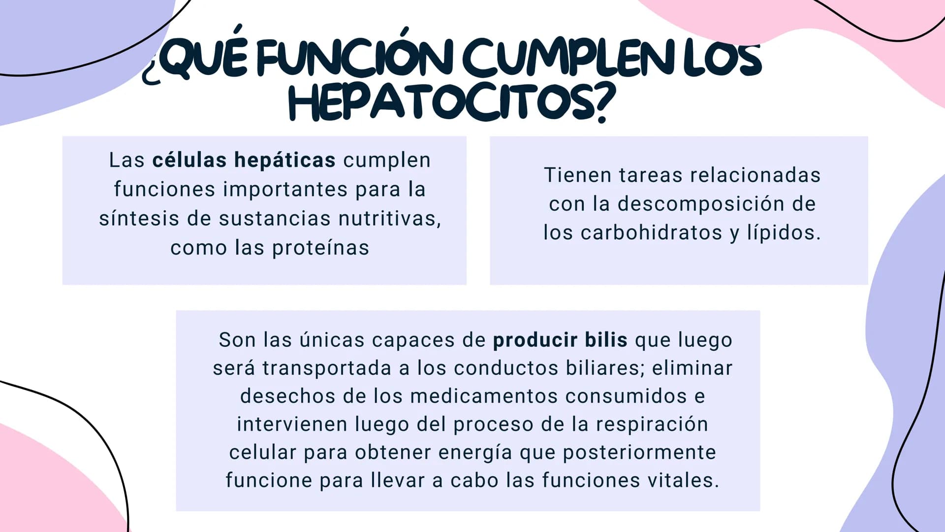 FISIOLOGIA
HIGADO
COMO GLANDULA DEFINCION
El hígado (hepar) es una glándula
anexa del sistema que vierte bilis,
producto de su secreción ext