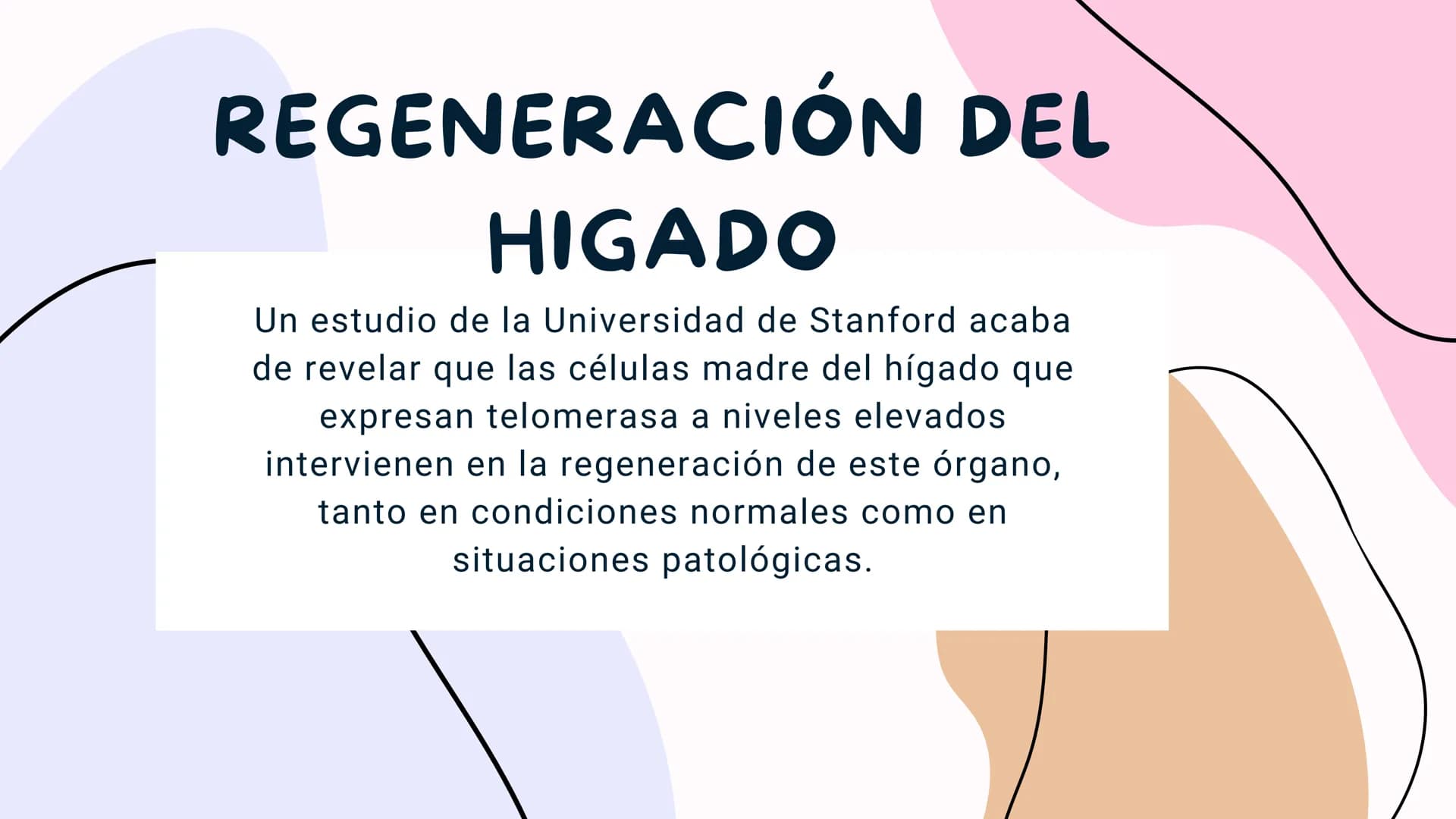 FISIOLOGIA
HIGADO
COMO GLANDULA DEFINCION
El hígado (hepar) es una glándula
anexa del sistema que vierte bilis,
producto de su secreción ext