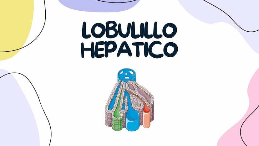 FISIOLOGIA
HIGADO
COMO GLANDULA DEFINCION
El hígado (hepar) es una glándula
anexa del sistema que vierte bilis,
producto de su secreción ext
